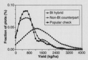 Qaim Yield Photo