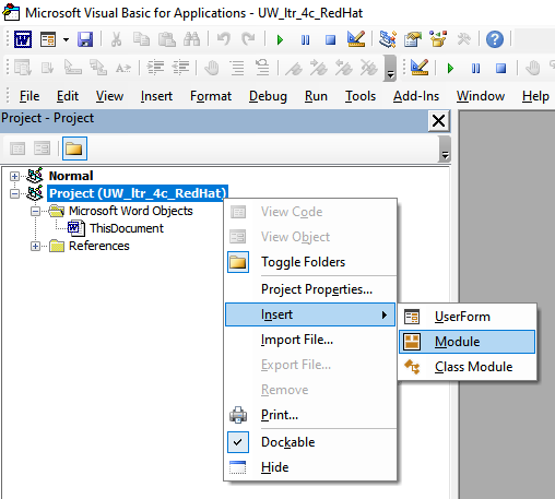 Screenshot of Microsoft Visual Basic for Applications program showing menu path to insert module