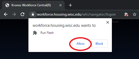 picture showing the location of the "allow flash" button